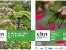 Couverture du livre Plantes natives de La Réunion